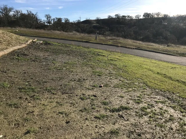 a picture of street with view of residential house