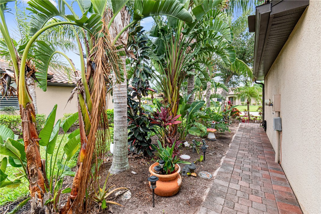 9138 Water Tupelo Road Fort Myers, FL 33912 - Photo 2 of 28 a view of a backyard with plants and a potted plants