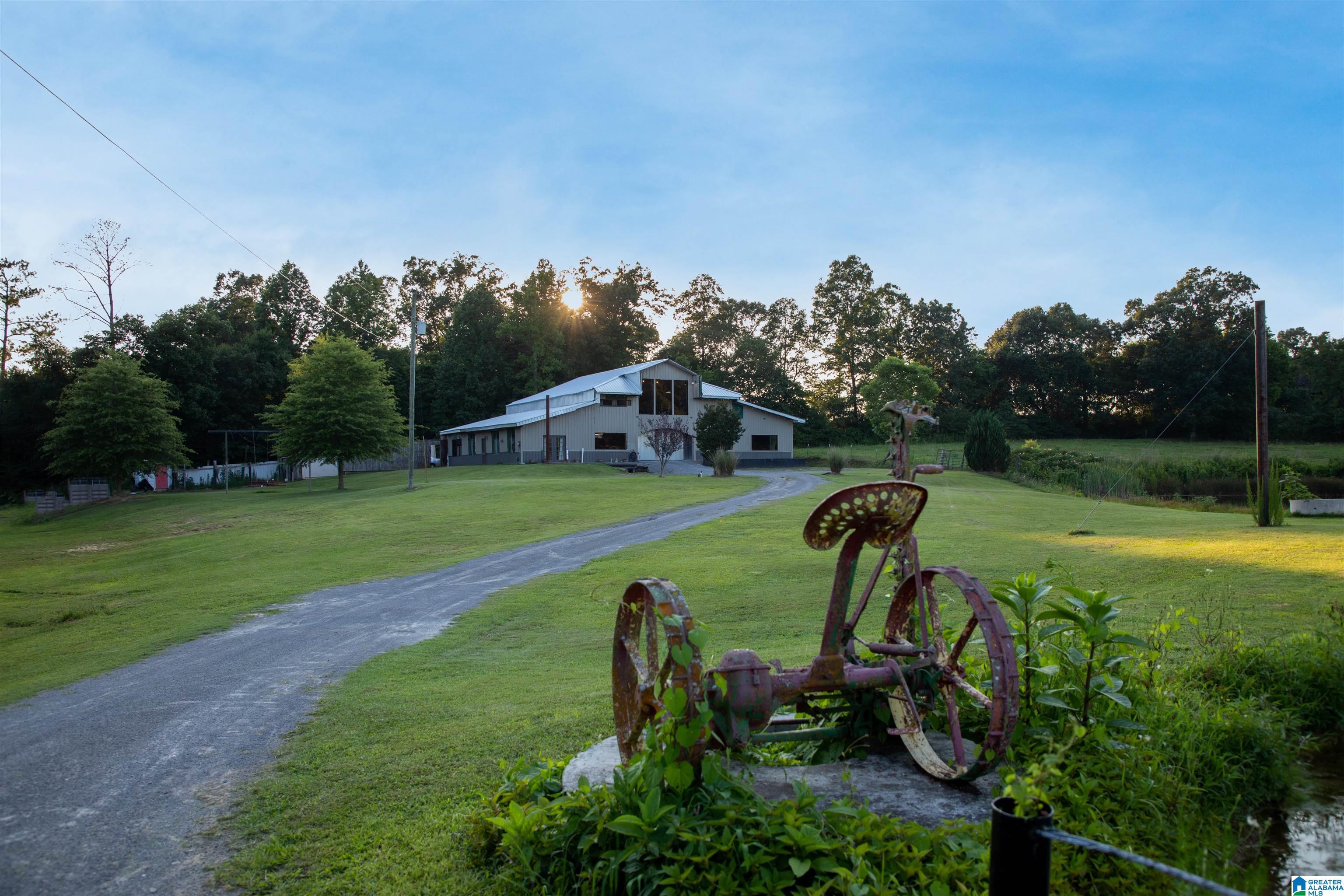 7468 Nixon Chapel Road Horton, AL 35980 - Photo 4 of 31