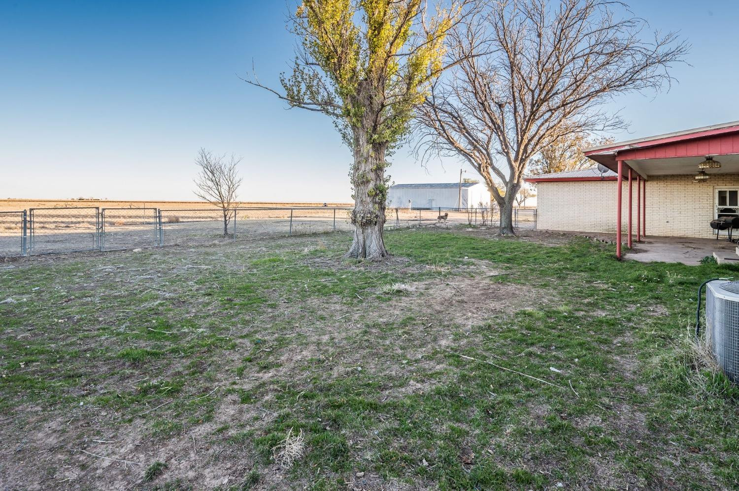 1401 County Road Z Plainview, TX 79072 - Photo 6 of 41 a view of backyard with green space