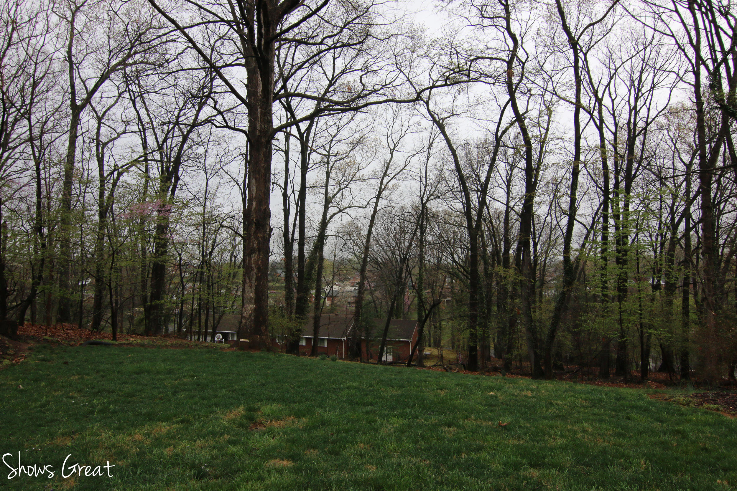 2465 Tillett Road Southwest Roanoke, VA 24015 - Photo 42 of 45 IMG_0232-2