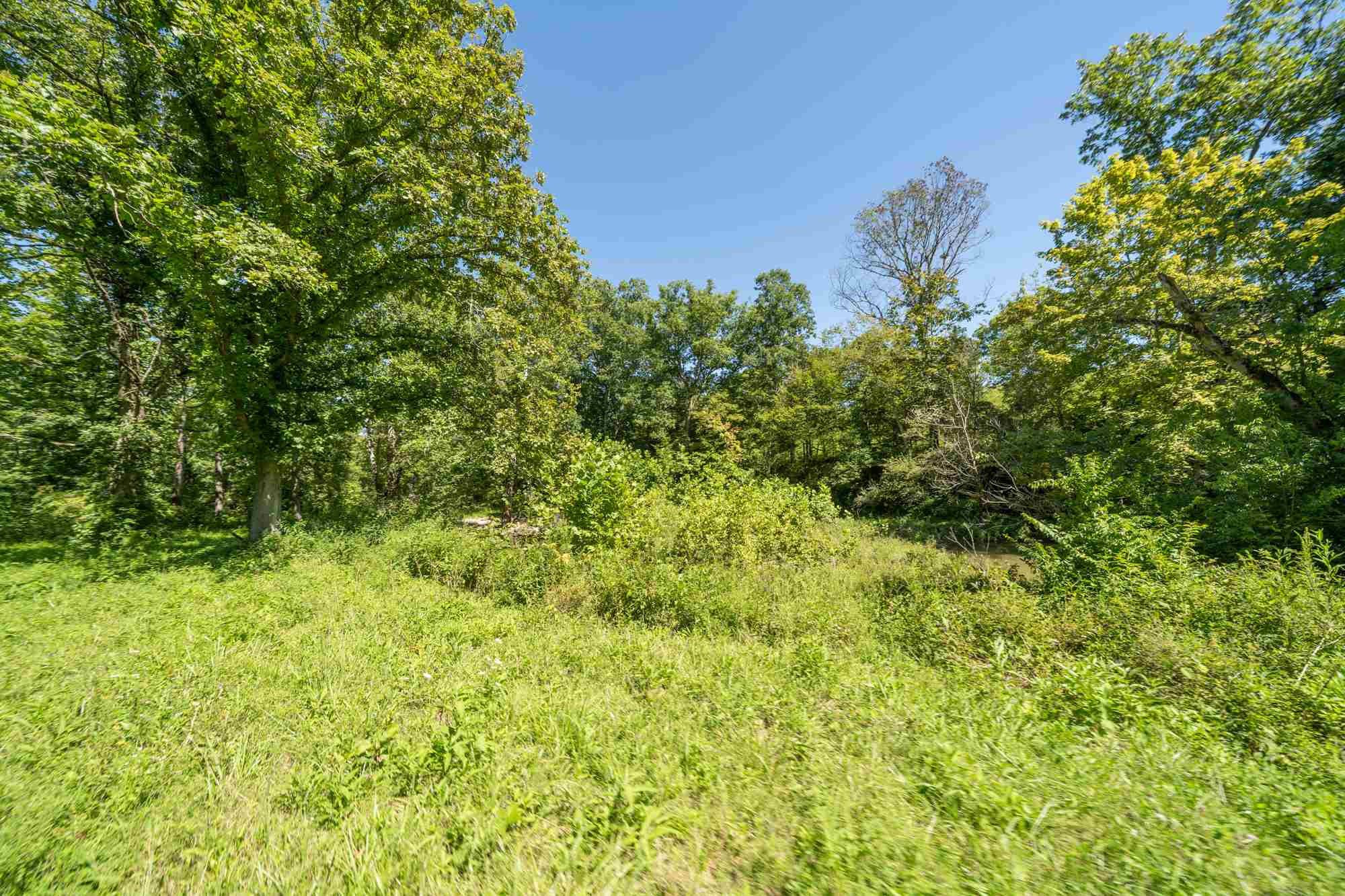3135 Lemon Northcutt Road Dry Ridge, KY 41035 - Photo 38 of 46