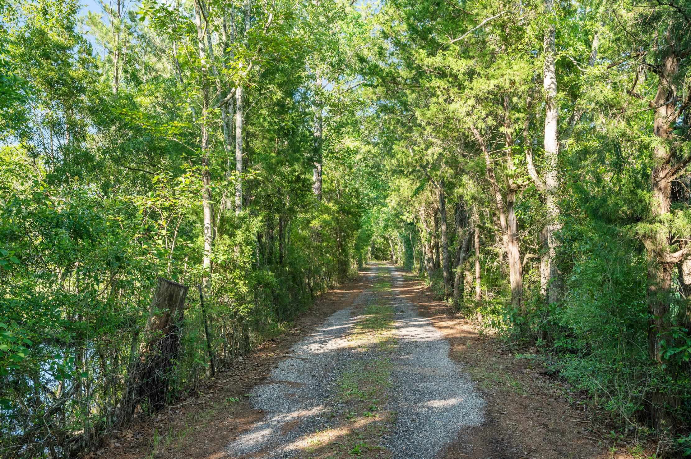 35840 County Road 39 Stapleton, AL 36578 - Photo 16 of 16