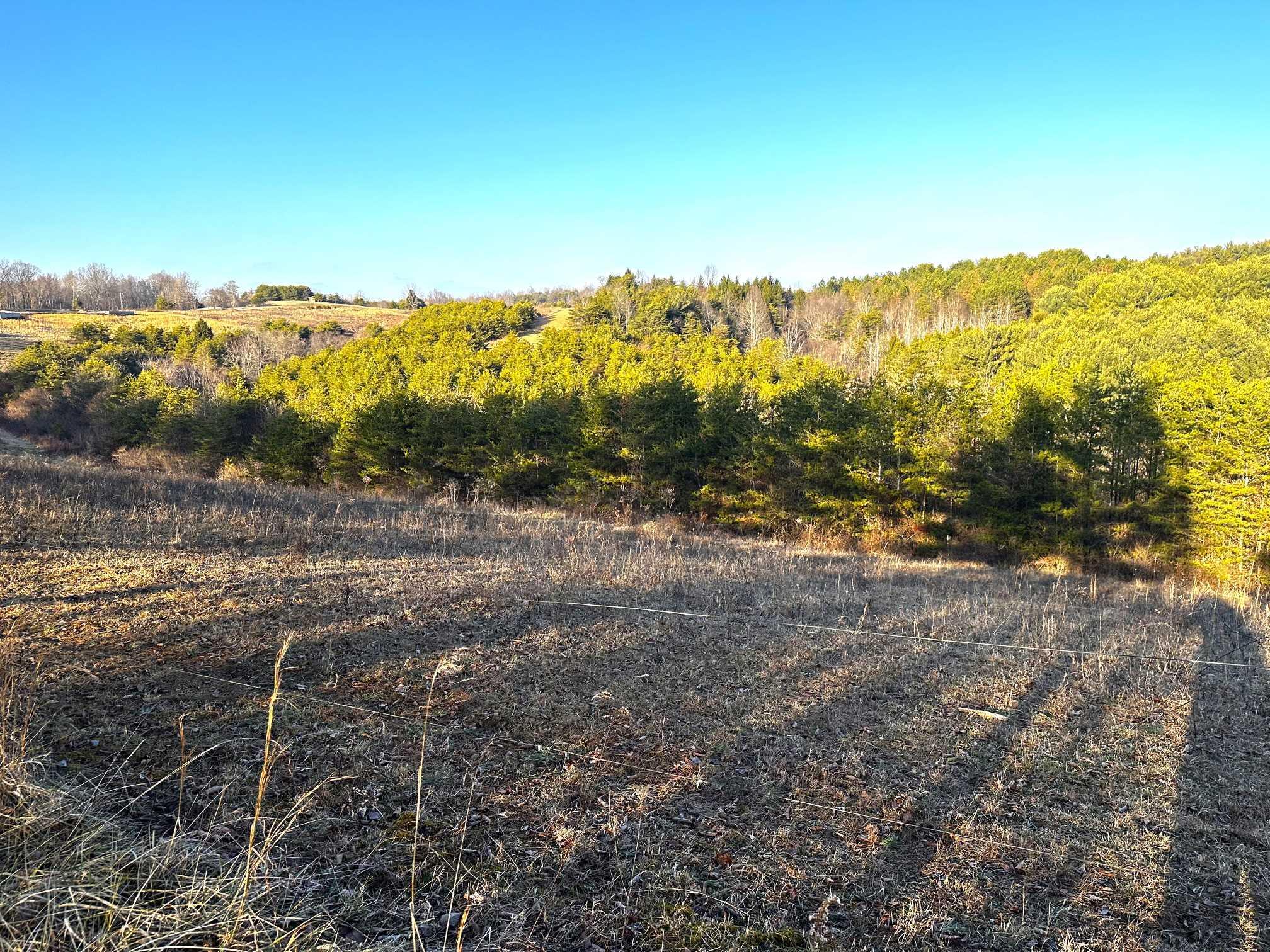 0 Kreashbaum Road Rockbridge, OH 43149 - Photo 6 of 20 East View