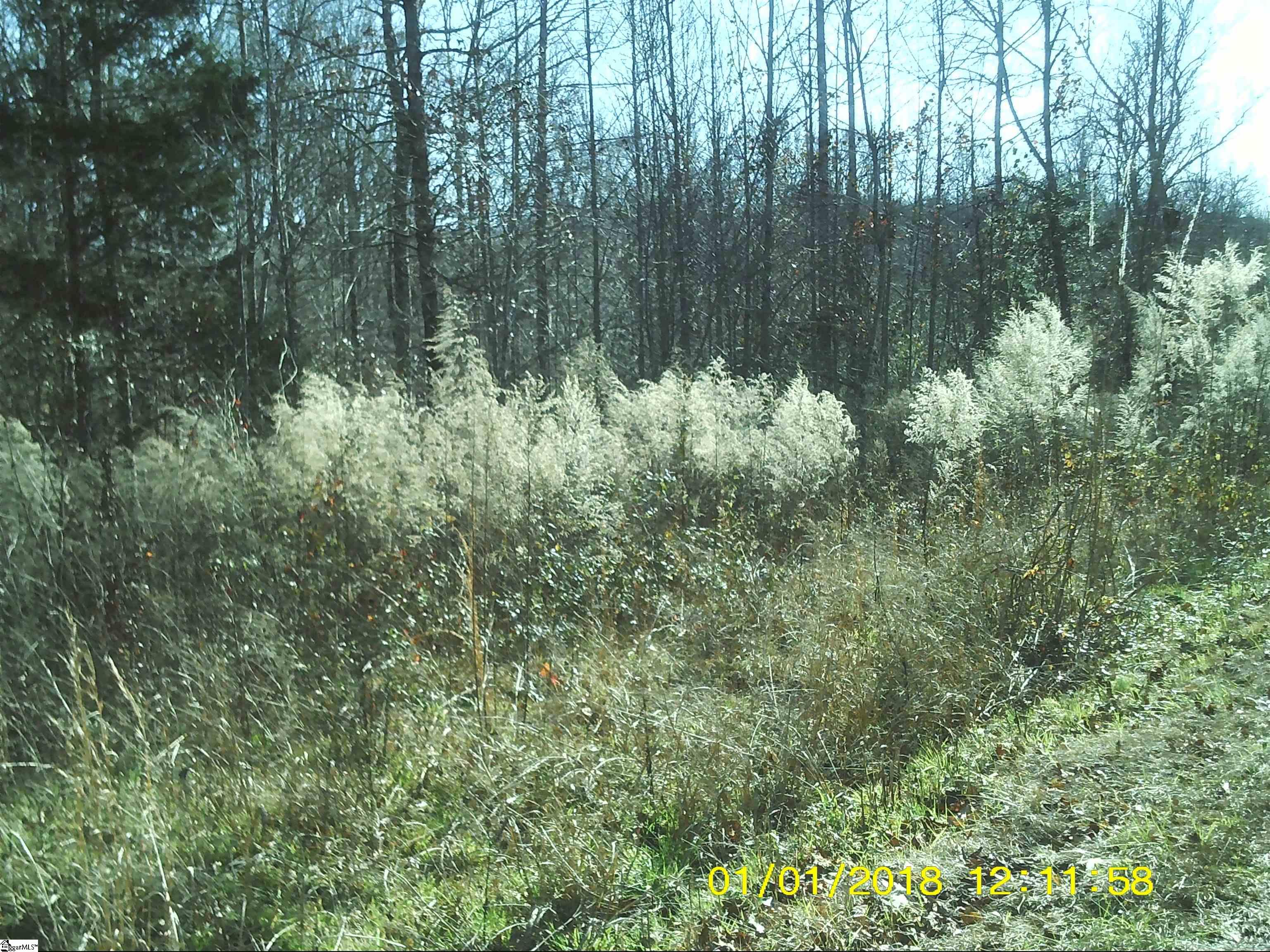 1551 Pace Bridge Road, Unit 2 97 ACRES LAND ONLY Easley, SC 29640 - Photo 2 of 3