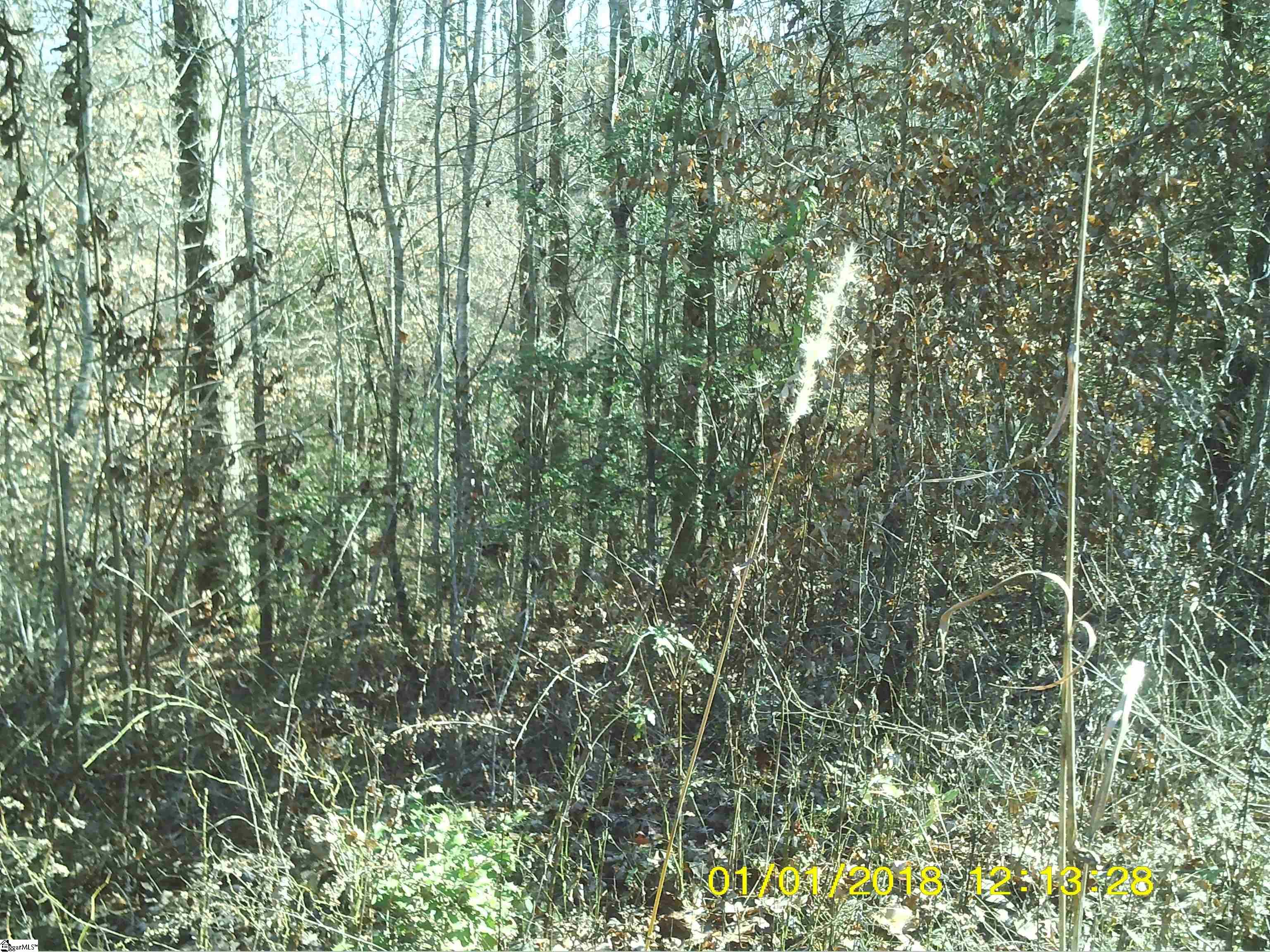 1551 Pace Bridge Road, Unit 2 97 ACRES LAND ONLY Easley, SC 29640 - Photo 3 of 3