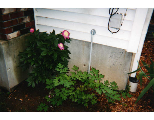 32 Evergreen Road Natick, MA 01760 - Photo 7 of 24 a picture of a flower room with wooden floor