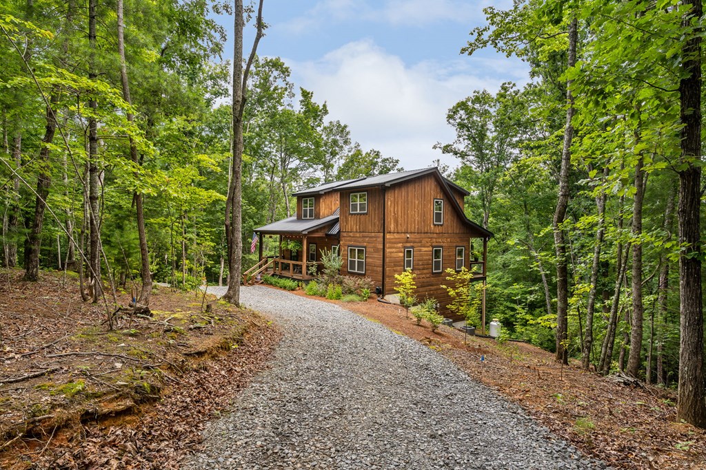 167 Trails End Ridge Ellijay, GA 30540 - Photo 60 of 68 Gallery Image 60