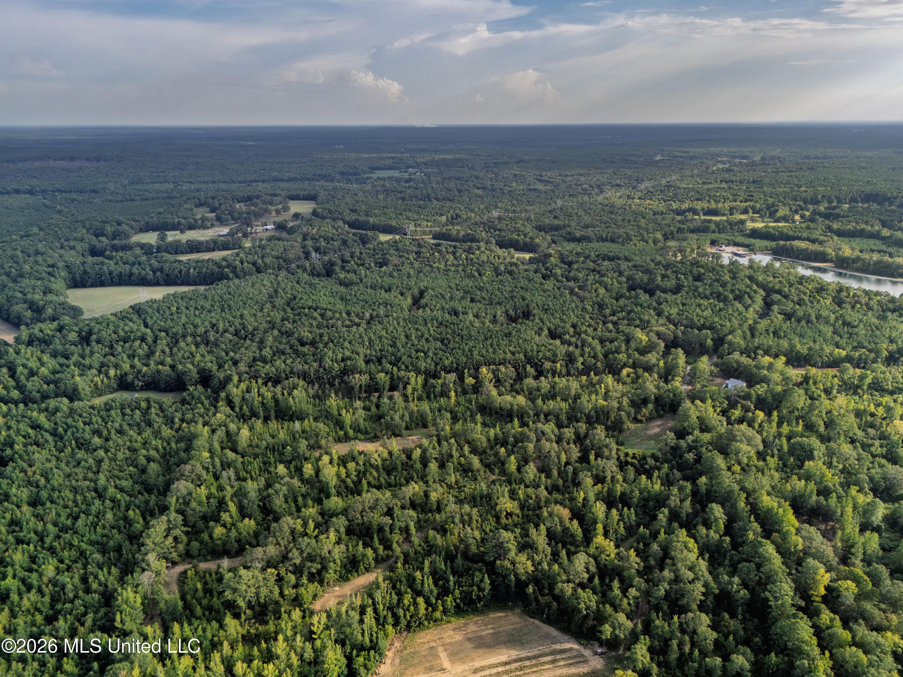 884 Truitt Road Pickens, MS 39146 - Photo 35 of 36 DJI_20260817180502_0227_D-HDR