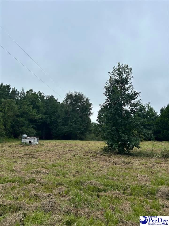 Tbd East Tbd E Friendfield Road Coward, SC 29530 - Photo 12 of 17 Gallery Image 12