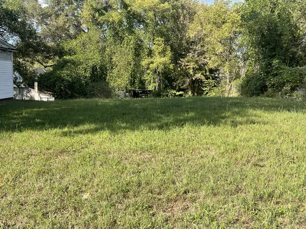 a view of park with trees