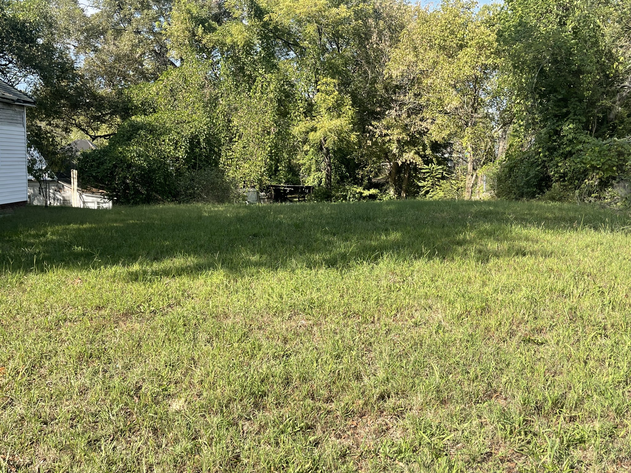 a view of park with trees