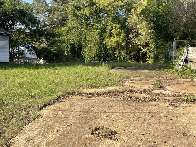 a view of a yard with a tree