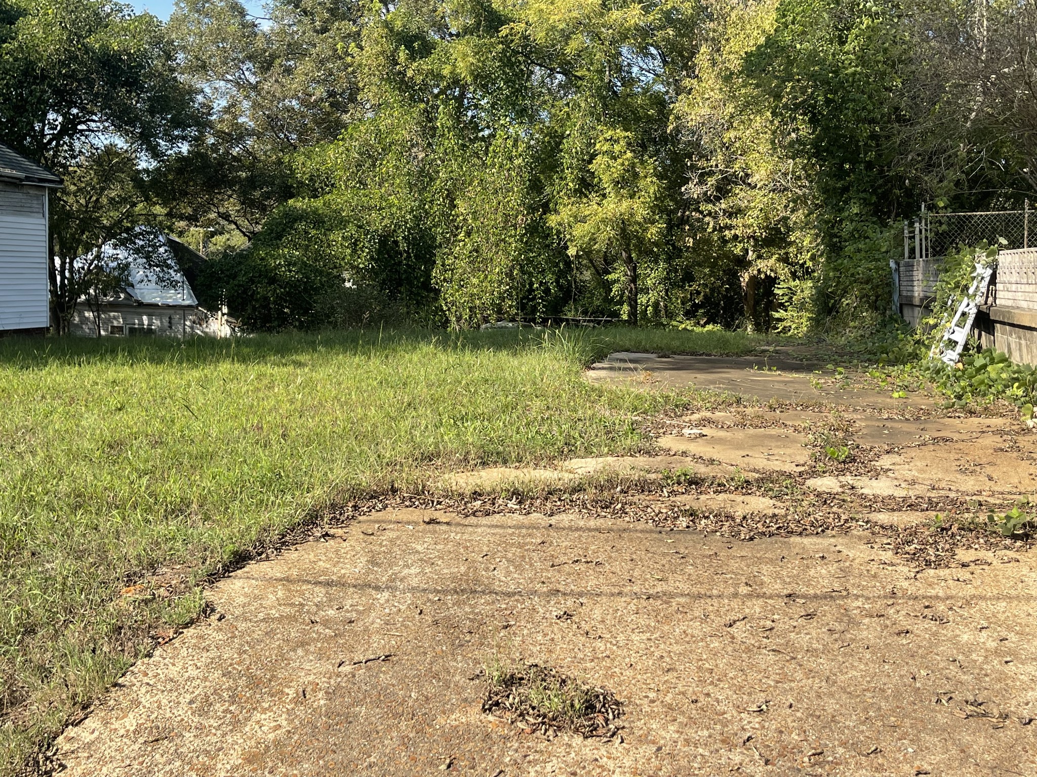 608 Depot Street Paris, TN 38242 - Photo 2 of 2 a view of a yard with a tree