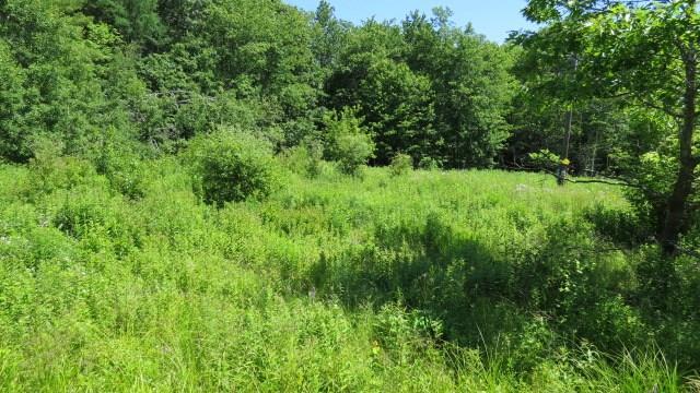 171 Red Bridge Road Ellsworth, ME 04605 - Photo 3 of 29 Photo