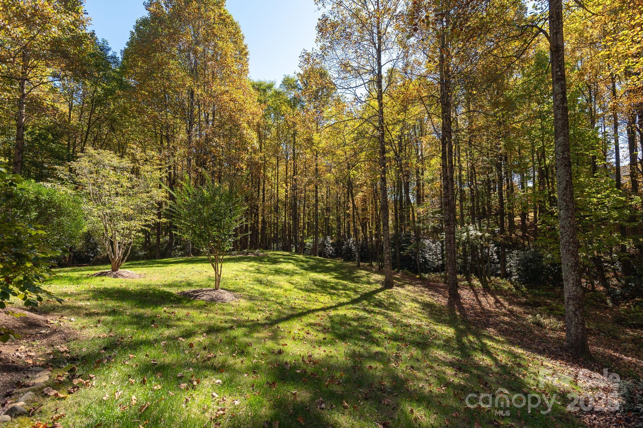 115 Chancery Court Flat Rock, NC 28731 - Photo 39 of 47