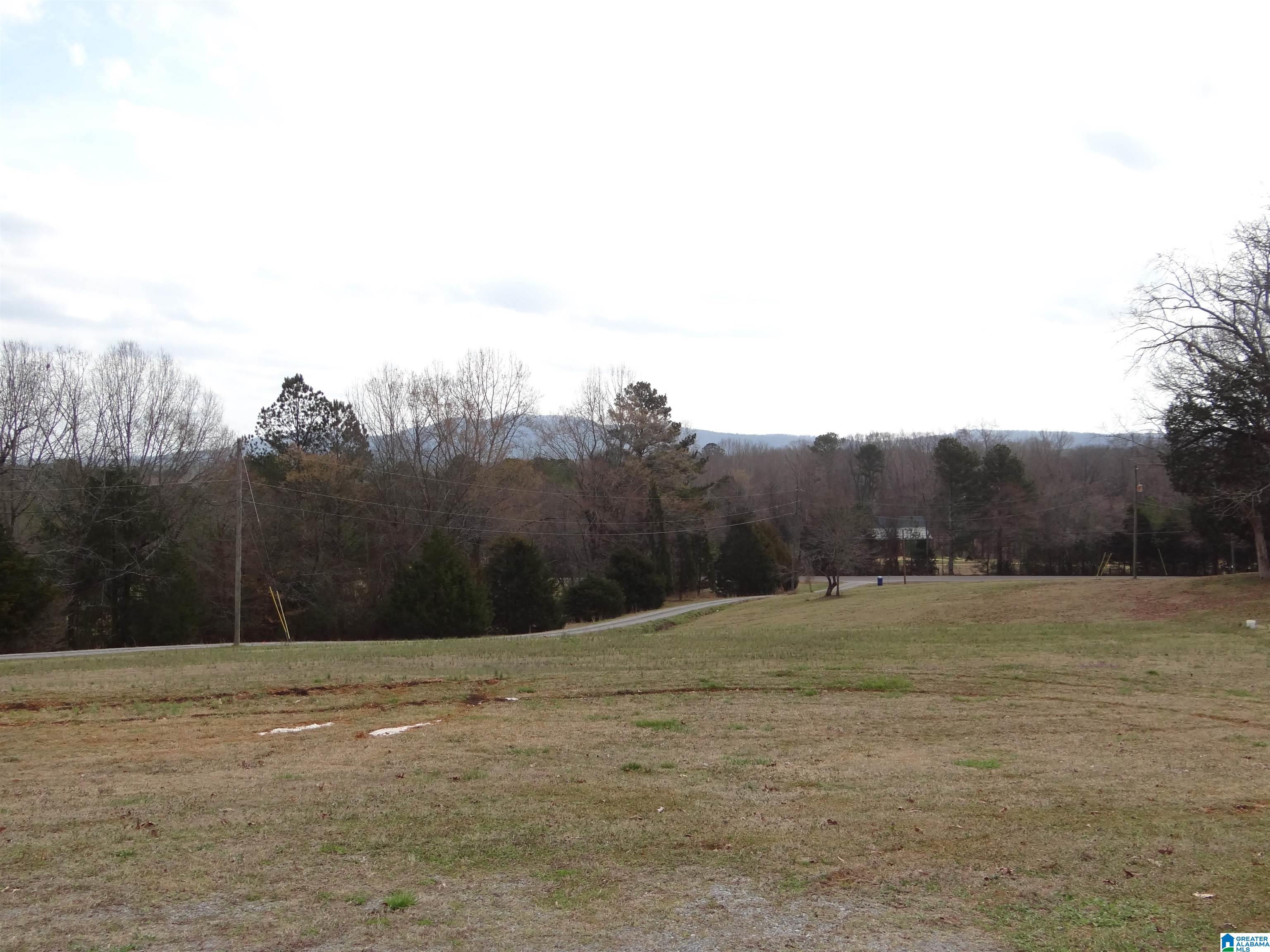 10861 Highway 11 Springville, AL 35146 - Photo 10 of 38 Gallery Image 10