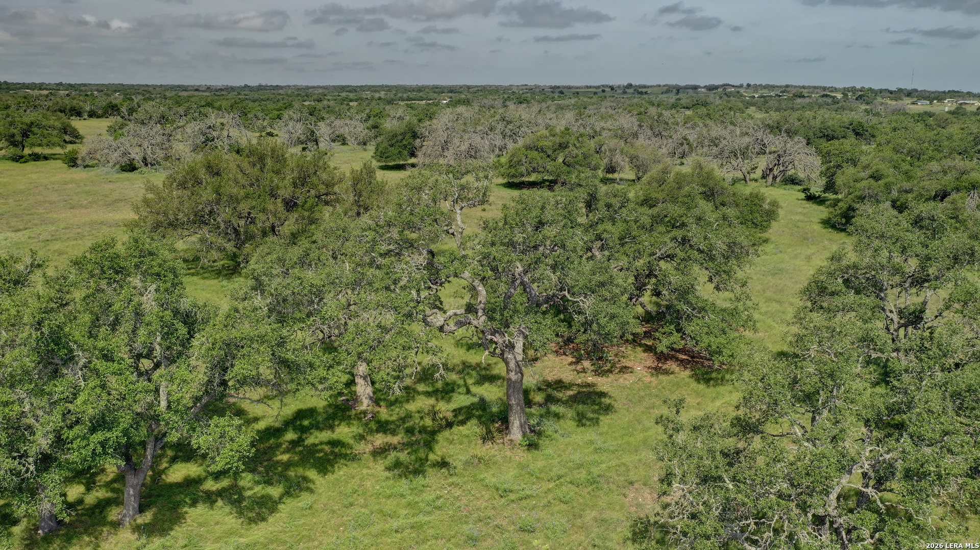2178 South Ranch Road 783 Harper, TX 78631 - Photo 65 of 74
