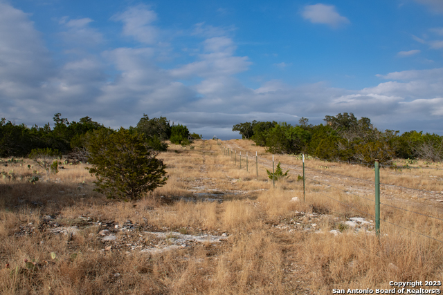 649 Rocky Hill Road Junction, TX 76849 - Photo 28 of 51 a view of a yard