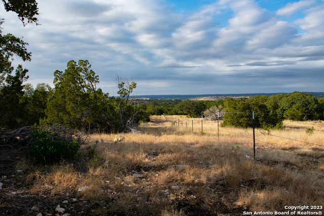 649 Rocky Hill Road Junction, TX 76849 - Photo 29 of 51 a view of a yard with a tree