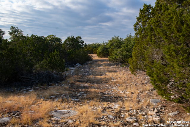 649 Rocky Hill Road Junction, TX 76849 - Photo 38 of 51 a view of a yard with plants and a bench