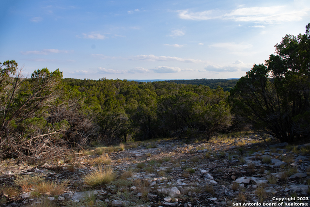 649 Rocky Hill Road Junction, TX 76849 - Photo 39 of 51 a view of a yard with a tree