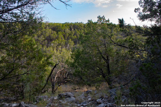 649 Rocky Hill Road Junction, TX 76849 - Photo 40 of 51 a view of a forest with a street