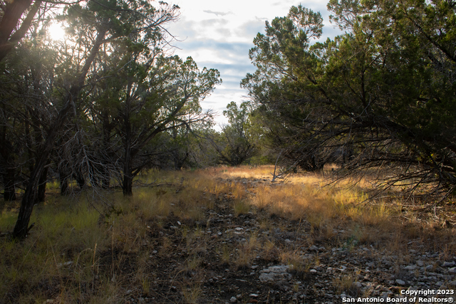 649 Rocky Hill Road Junction, TX 76849 - Photo 41 of 51 a view of a yard with large trees