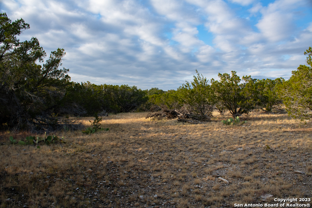 649 Rocky Hill Road Junction, TX 76849 - Photo 42 of 51 a view of a field with trees in background