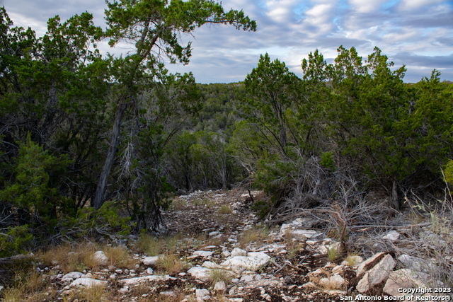 649 Rocky Hill Road Junction, TX 76849 - Photo 43 of 51 a big yard with lots of green space