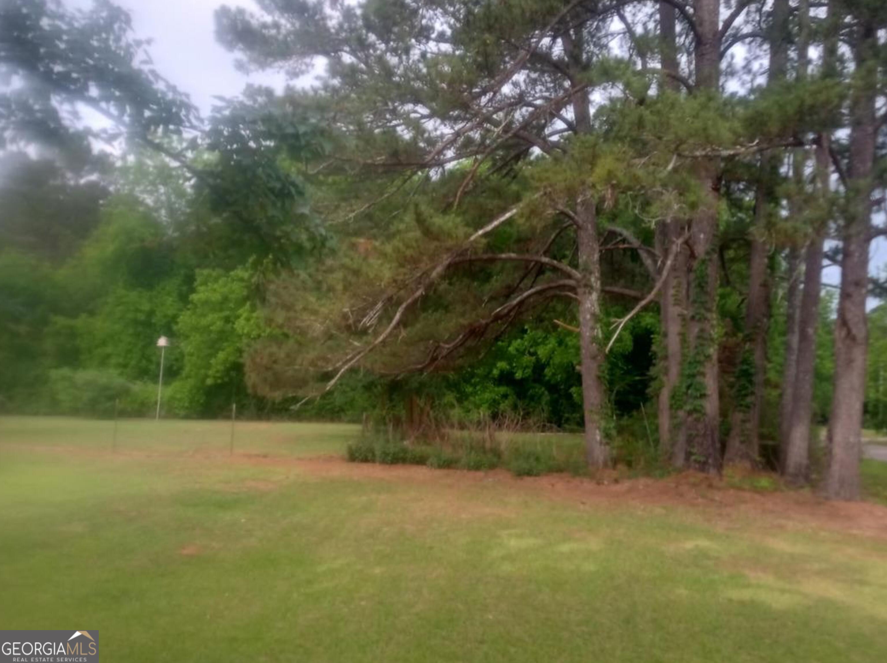 1626 Pine Street Northeast Edison, GA 39846 - Photo 8 of 10 a view of a field with trees in the background
