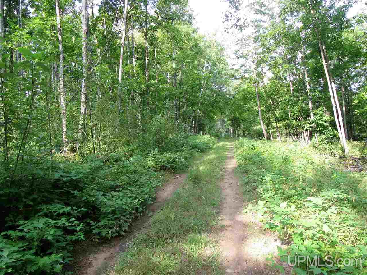 Tbd Perch Bay Road Manistique, MI 49854 - Photo 7 of 7 Gallery Image 7