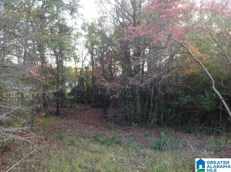 5730 Rockdale Road Bessemer, AL 35022 - Photo 7 of 12