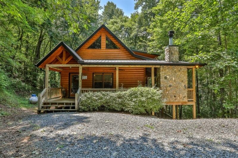 115 White Tail Ridge Blue Ridge, GA 30513 - Photo 1 of 1 a front view of a house with a yard