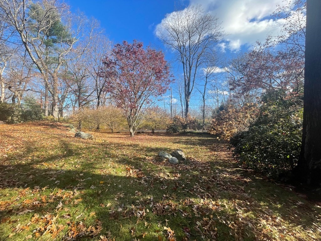 37 Boulder Road Wellesley, MA 02481 - Photo 40 of 42 a view of large tree in front of a house