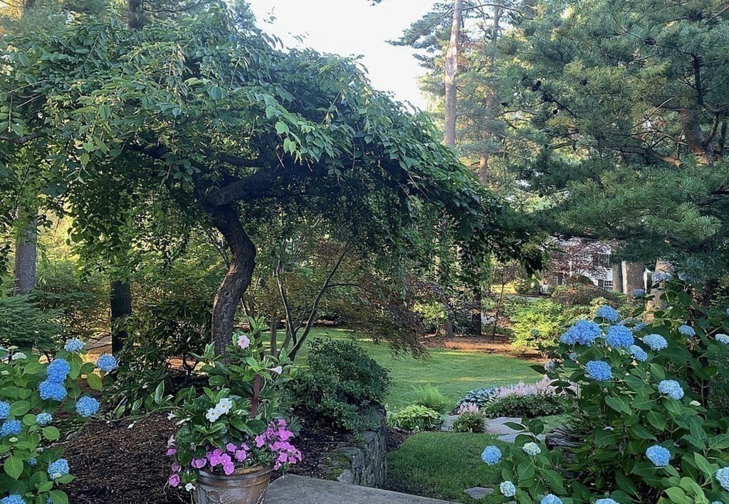 37 Boulder Road Wellesley, MA 02481 - Photo 41 of 42 a view of a garden with plants and trees