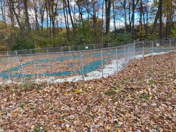 a view of a yard with large trees
