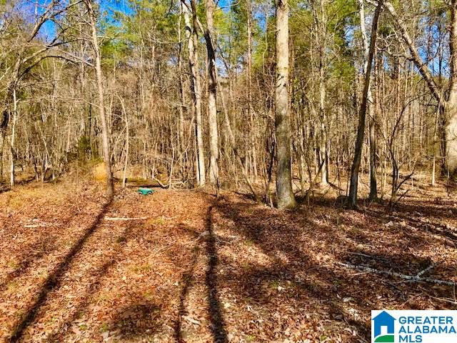 241 Valley Creek Road Piedmont, AL 36272 - Photo 12 of 13