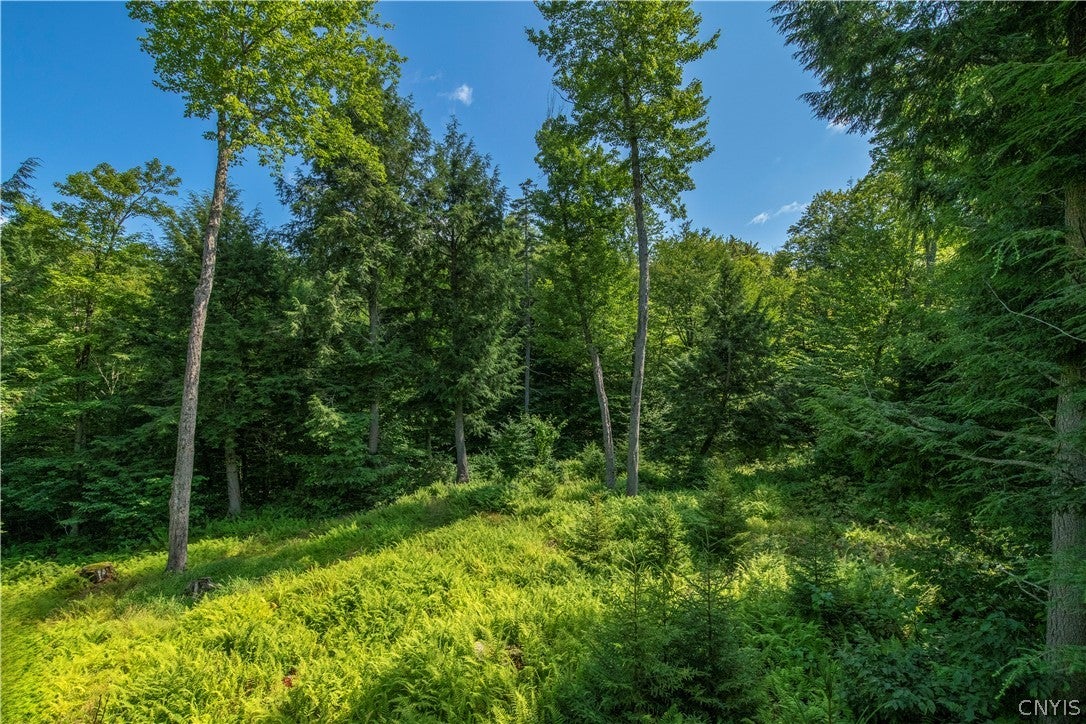 461 Billy Hamlin Road Cold Brook, NY 13324 - Photo 47 of 49 Gallery Image 47