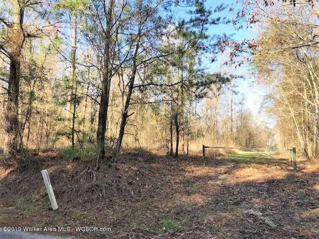 4009 County Road Crane Hill, AL 35053 - Photo 5 of 5 Gallery Image 5