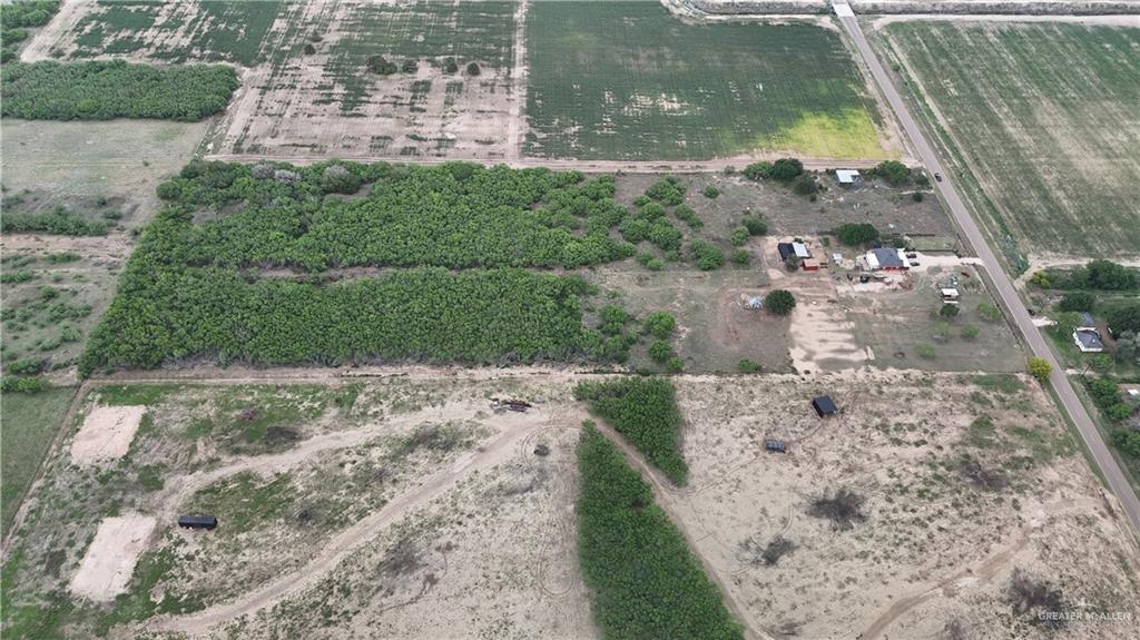 8534 Nittler Road Monte Alto, TX 78538 - Photo 5 of 9 a view of a yard with plants
