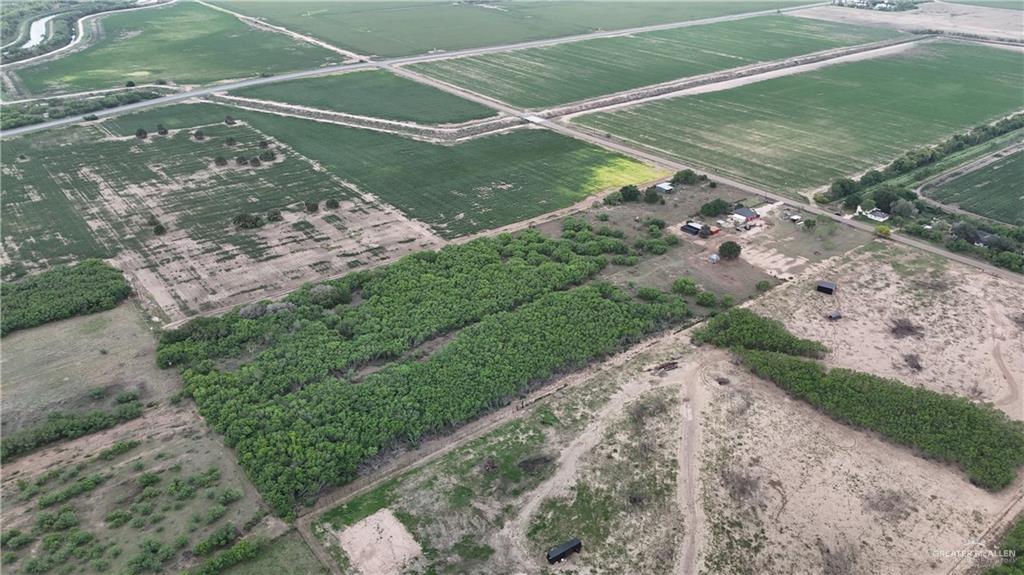 8534 Nittler Road Monte Alto, TX 78538 - Photo 6 of 9 a view of a backyard