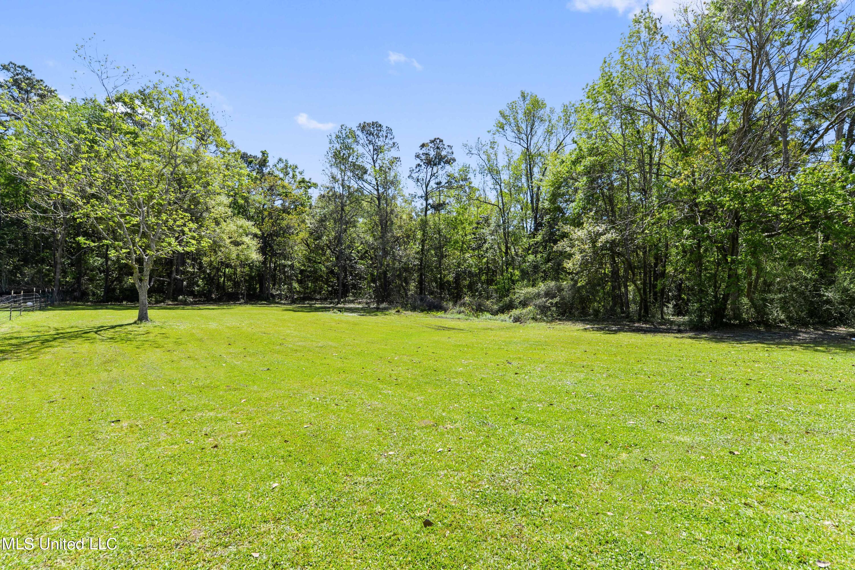 4125 Del Rosa Avenue Moss Point, MS 39563 - Photo 29 of 33 One Acre Uncleared & Unfenced