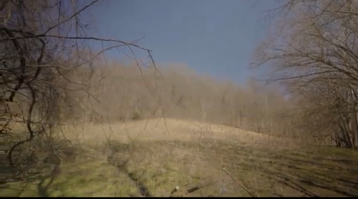 3 Enterprise Road Mount Pleasant, TN 38474 - Photo 2 of 9 a bathroom with a shower