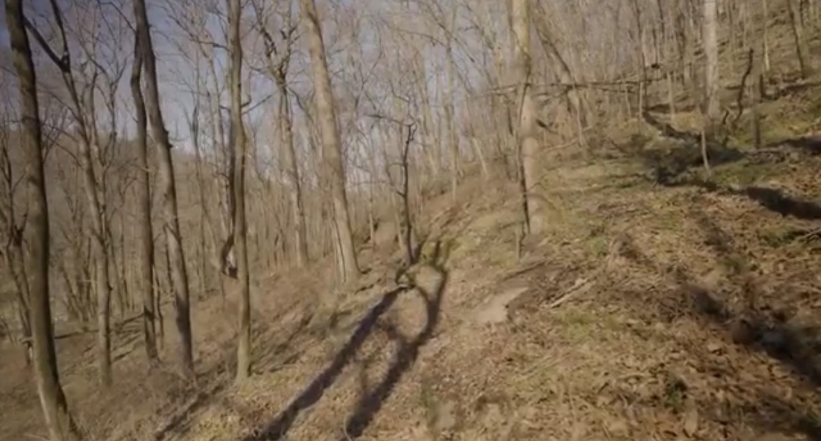 3 Enterprise Road Mount Pleasant, TN 38474 - Photo 5 of 9 a view of a dry yard
