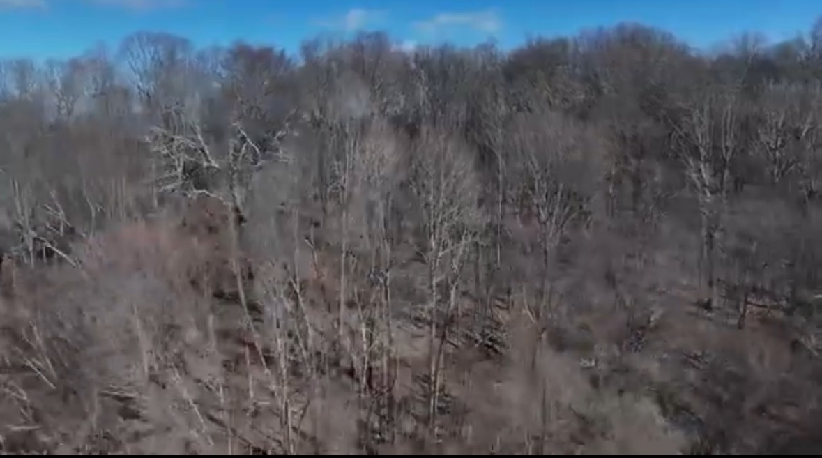 3 Enterprise Road Mount Pleasant, TN 38474 - Photo 6 of 9 a view of a dry yard