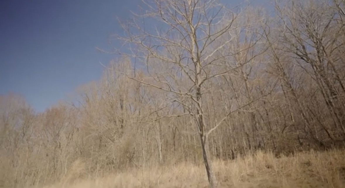 3 Enterprise Road Mount Pleasant, TN 38474 - Photo 8 of 9 a view of bulb in between of two of the house