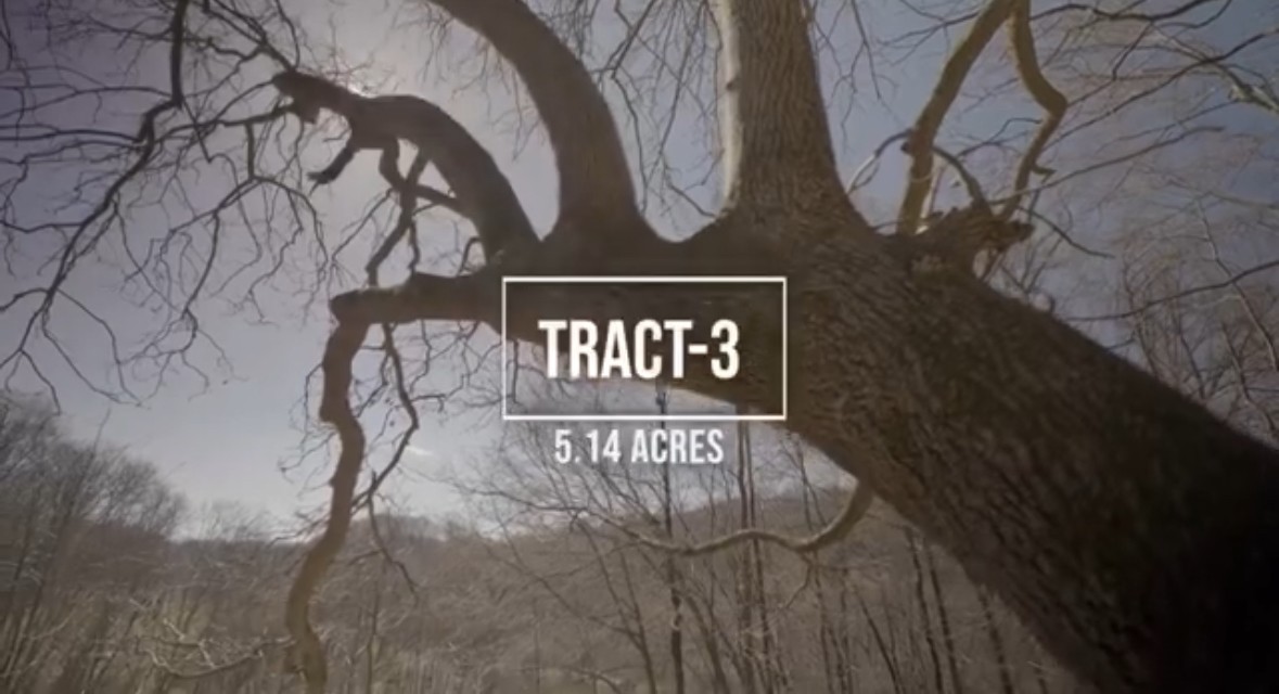 3 Enterprise Road Mount Pleasant, TN 38474 - Photo 9 of 9 a front view of a house