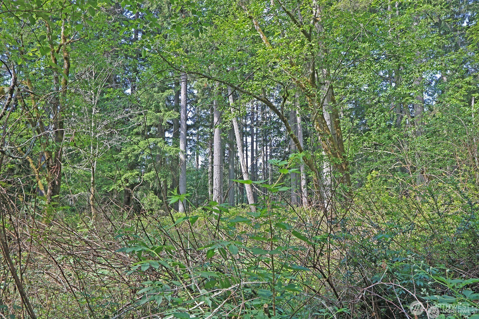 20825 Old Mill Road Southwest Vashon, WA 98070 - Photo 11 of 12