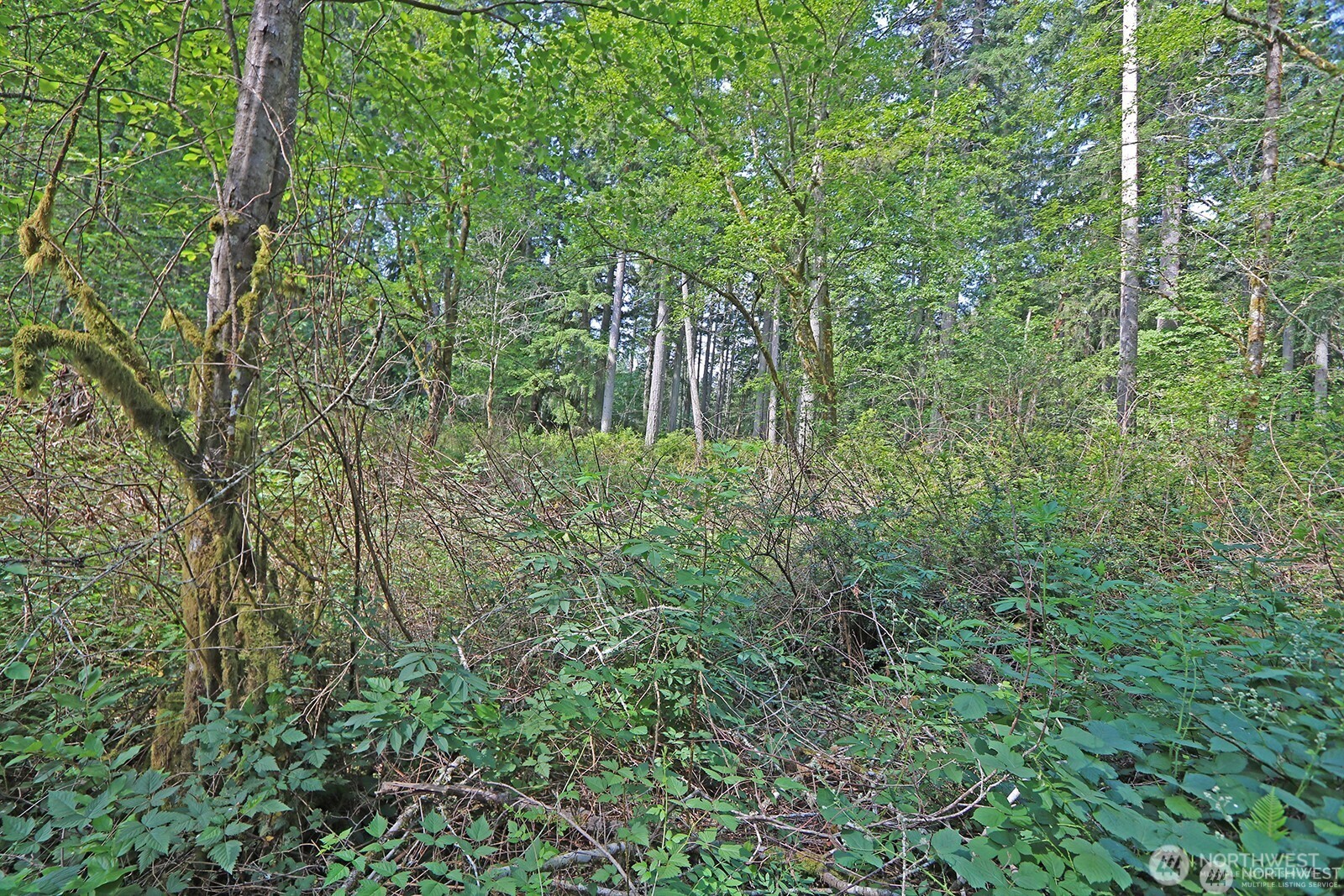 20825 Old Mill Road Southwest Vashon, WA 98070 - Photo 12 of 12